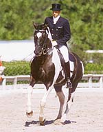 Art Deco - Coloured Dressage Stallion